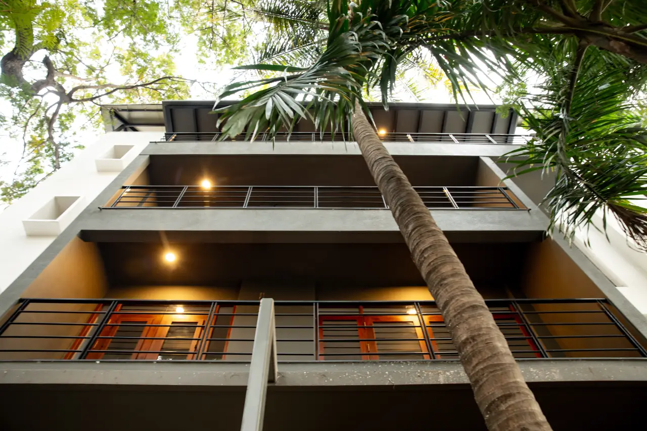 Pursuit of a Radical Rhapsody